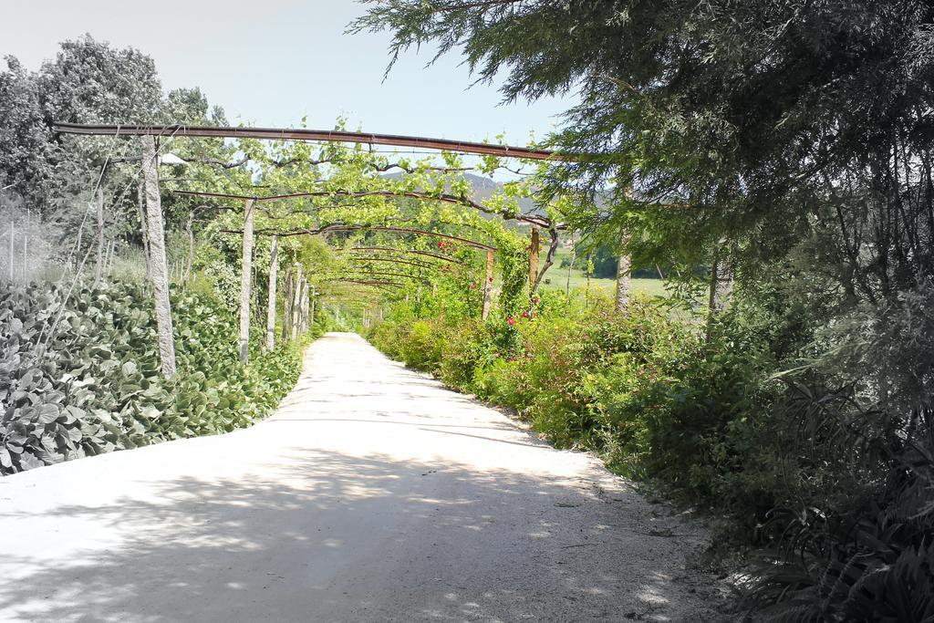 Lousada Country Hotel Dış mekan fotoğraf